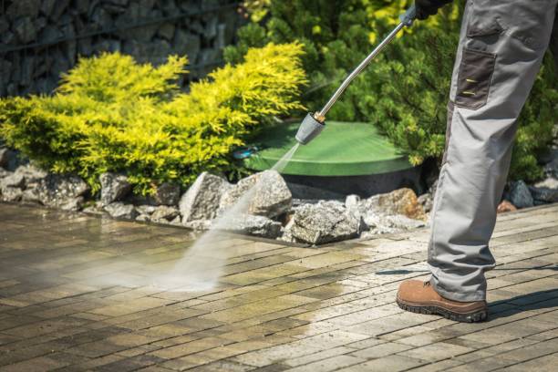 Best Winterizing Services  in Ortonville, MI