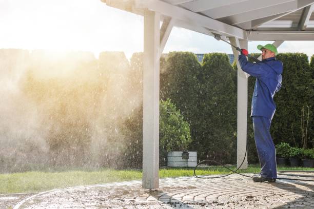 Best Playground Equipment Cleaning  in Ortonville, MI