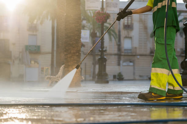 Best Gutter Cleaning  in Ortonville, MI